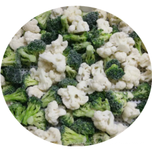 Vente entière Frozen Vegetables Blend IQF Mélange hivernal Brocoli gelé et chou-fleur